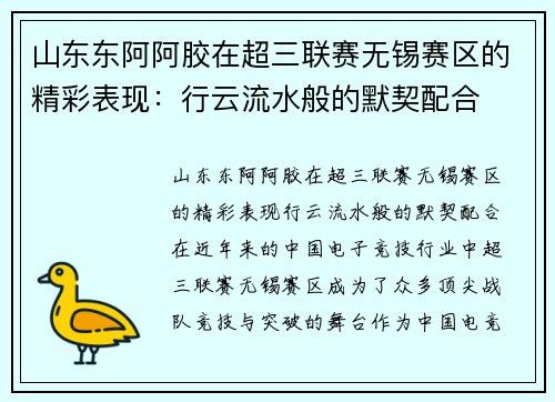 山东东阿阿胶在超三联赛无锡赛区的精彩表现：行云流水般的默契配合