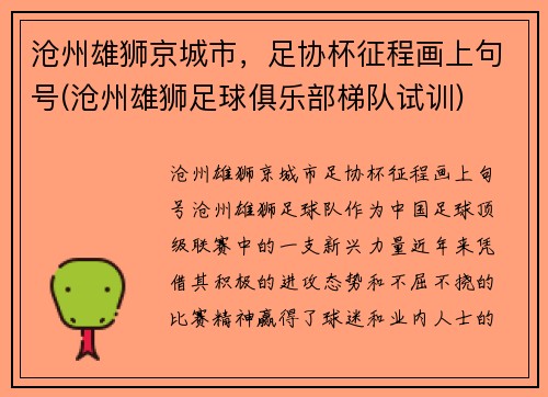 沧州雄狮京城市，足协杯征程画上句号(沧州雄狮足球俱乐部梯队试训)